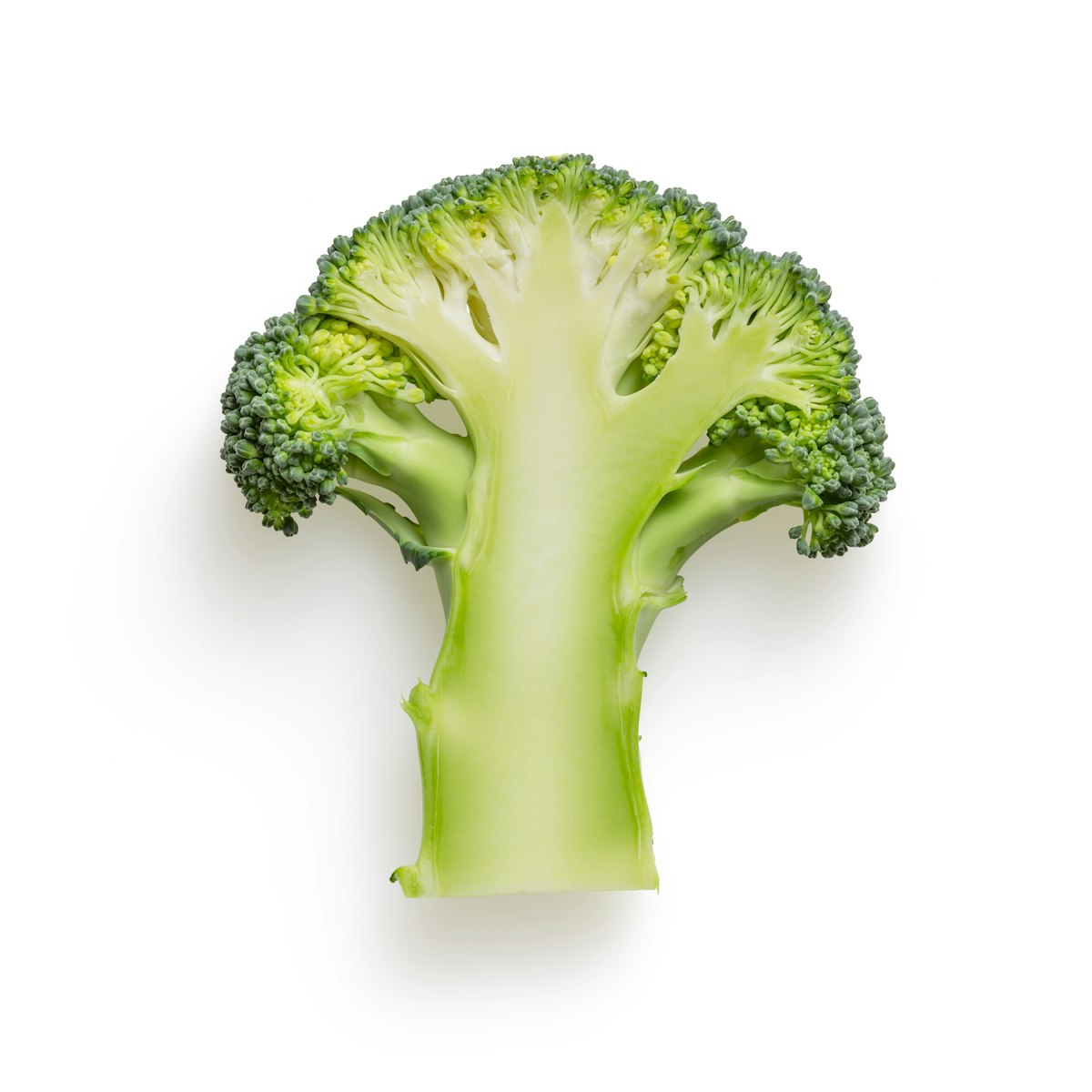 Birds Eye Steamfresh Broccoli 10.8oz
