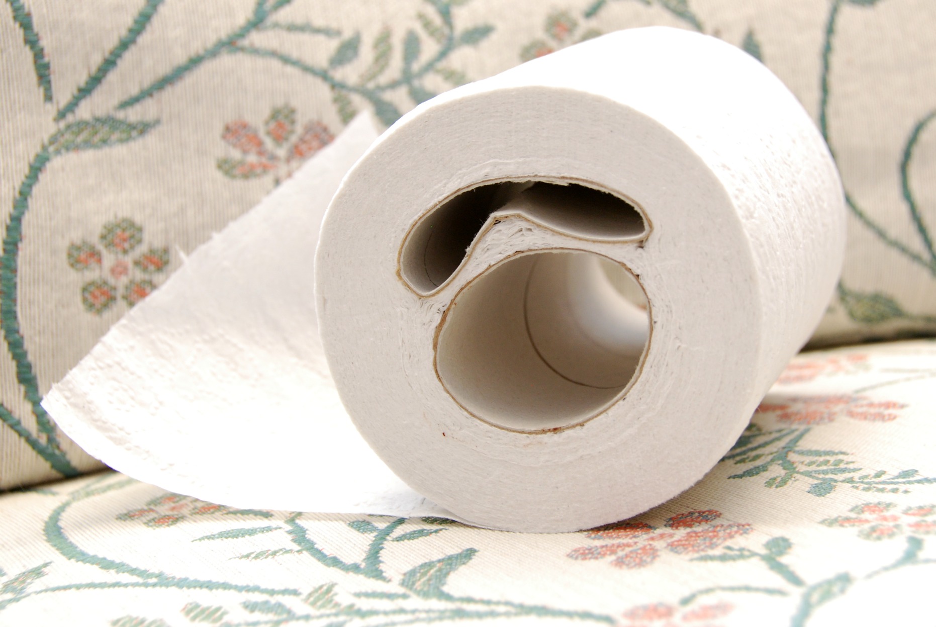 Charmin Ultra Soft Toilet Paper 12ct