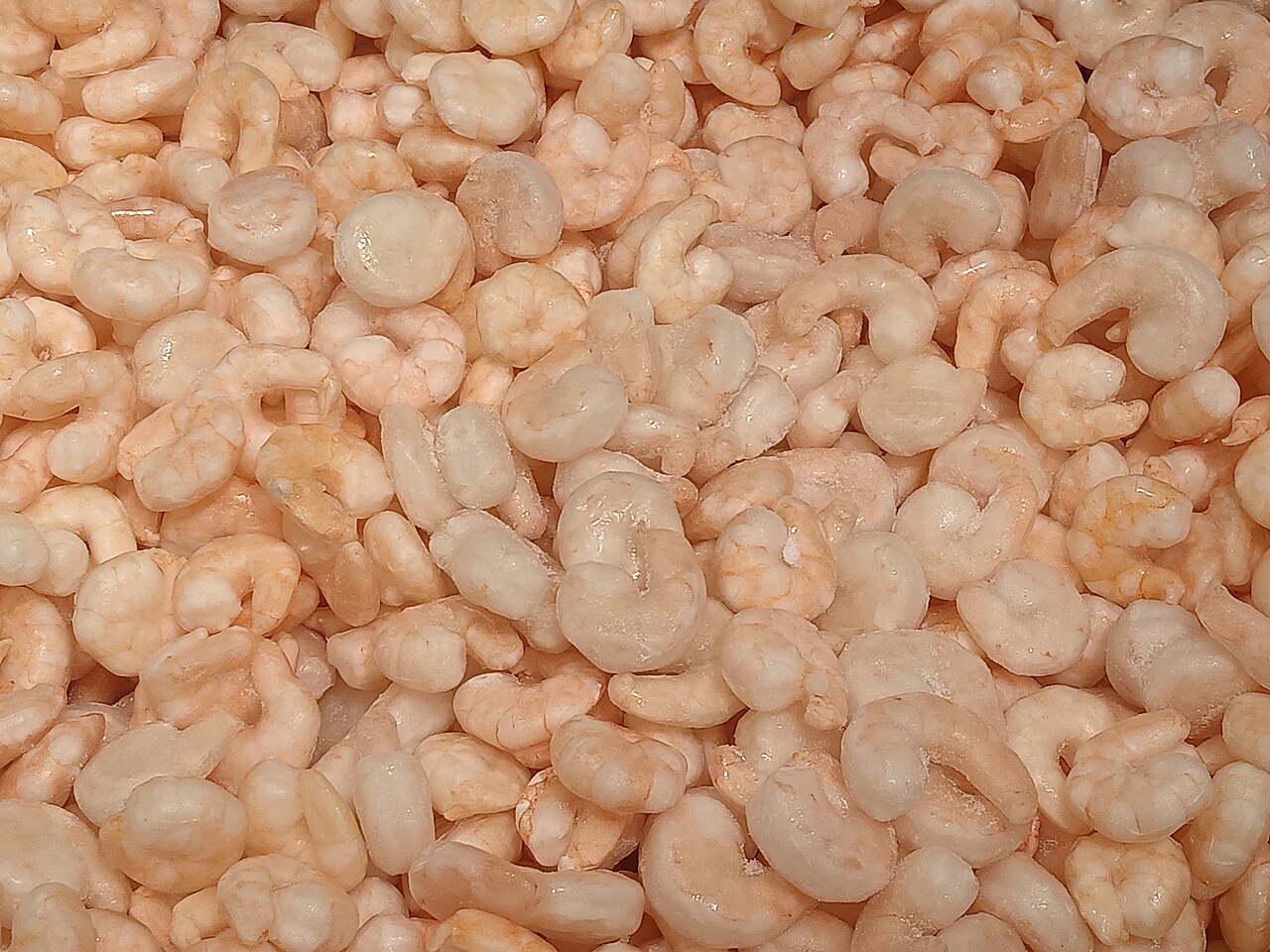 Jumbo Cooked Shrimp 1lb image 1