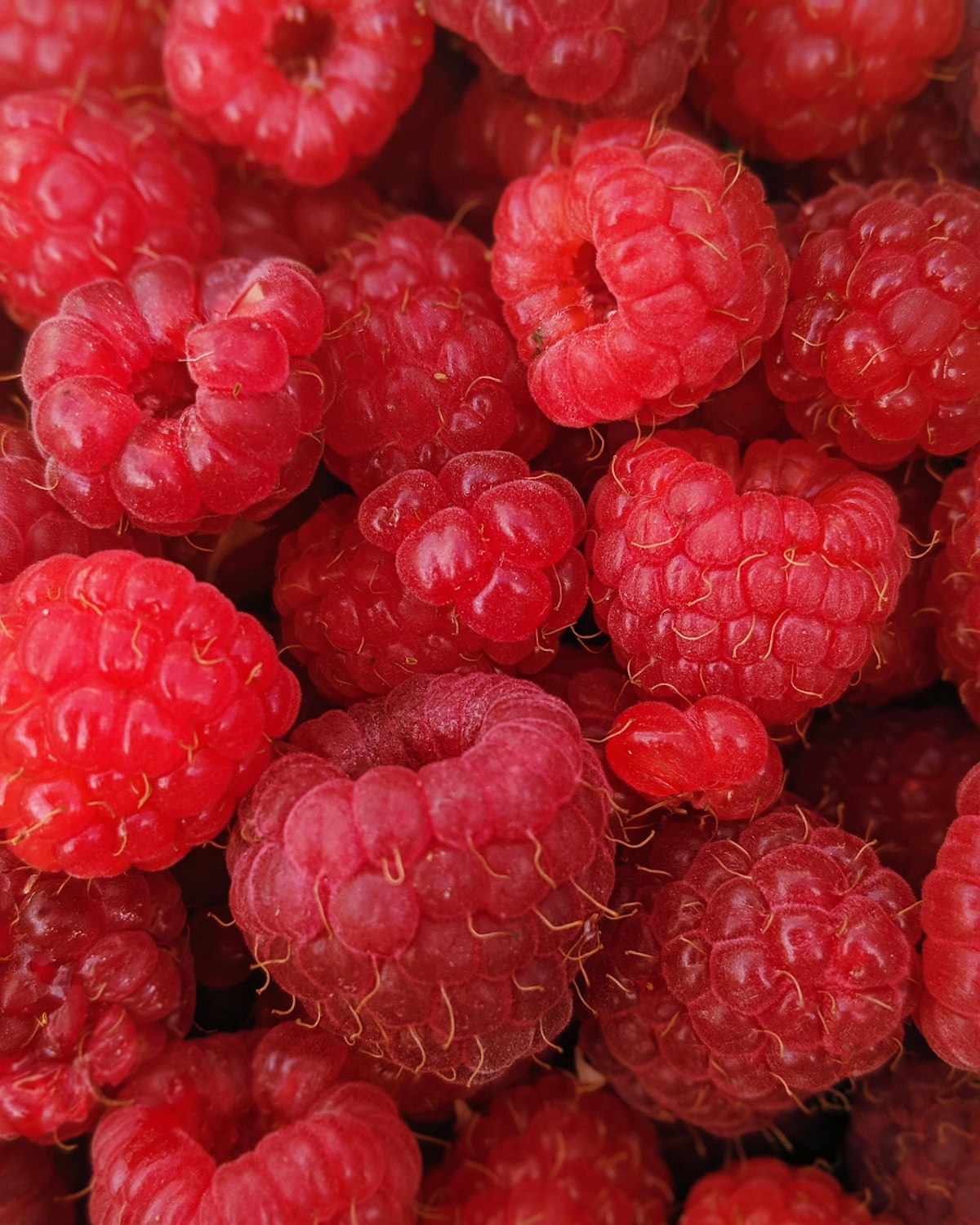 Raspberries 6oz
